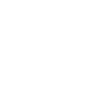 Teamentwicklung